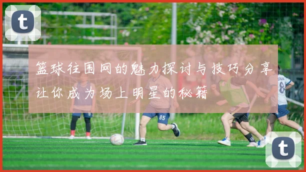 篮球往围网的魅力探讨与技巧分享让你成为场上明星的秘籍