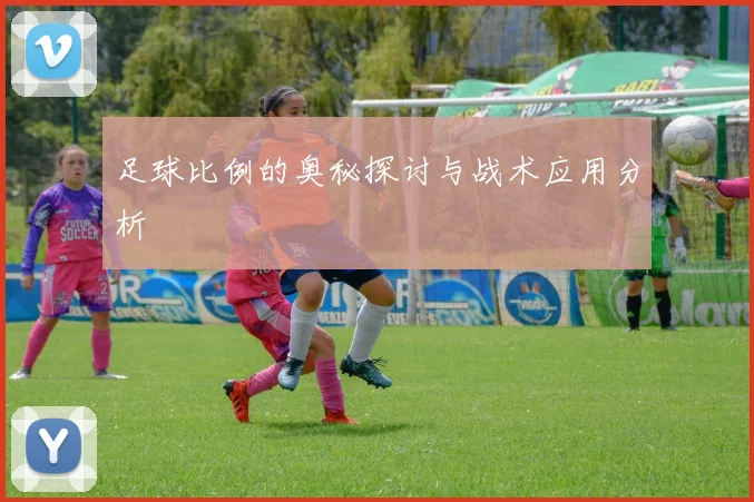足球比例的奥秘探讨与战术应用分析