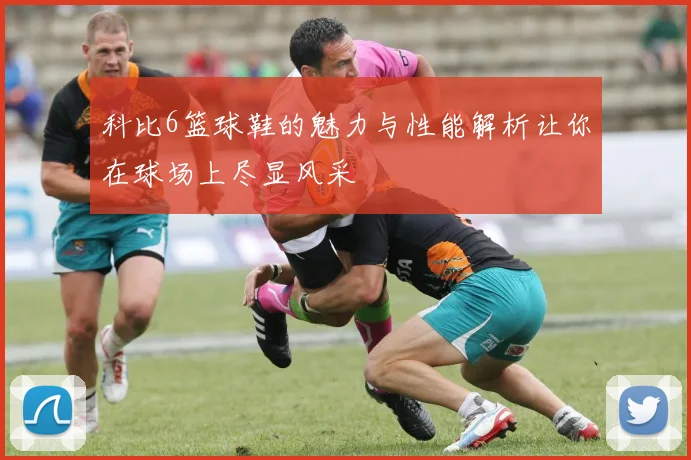 科比6篮球鞋的魅力与性能解析让你在球场上尽显风采