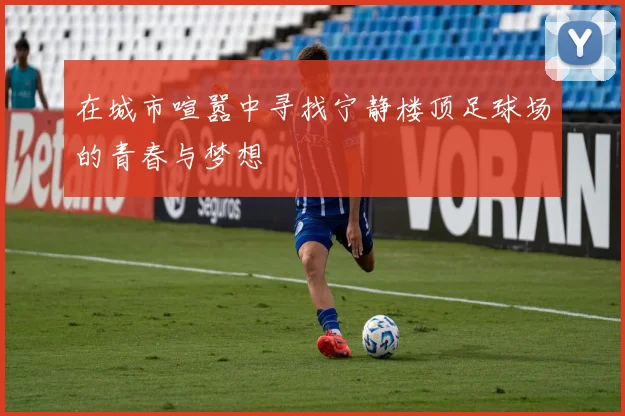 在城市喧嚣中寻找宁静楼顶足球场的青春与梦想